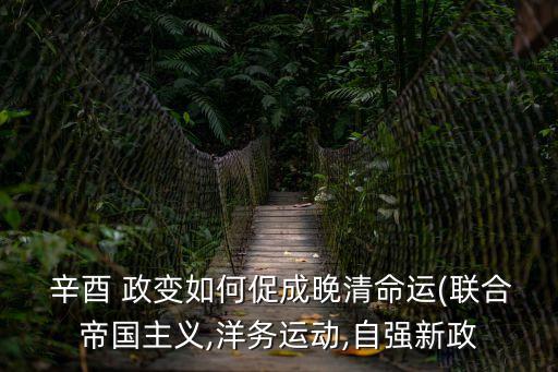 辛酉政變,清政府正式登上最高政治舞臺實際統治中國47年