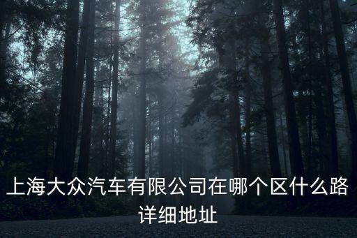 上海大眾汽車有限公司在哪個區什么路詳細地址