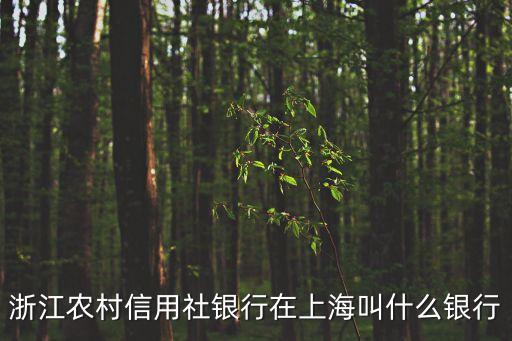 浙江農村信用社銀行在上海叫什么銀行