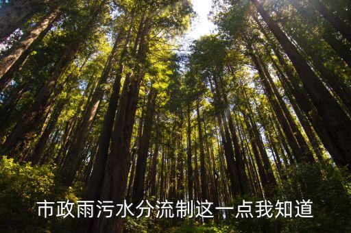 上海市雨水污水分流，哪些城市污廢分流
