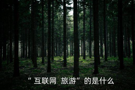 “ 互聯(lián)網(wǎng)  旅游”的是什么