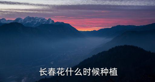 長春花種子,長春花種子冬季可播嗎?