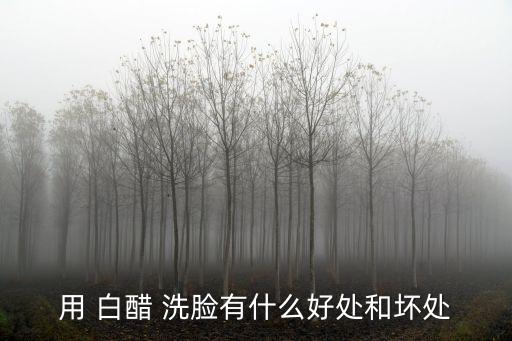 用 白醋 洗臉有什么好處和壞處