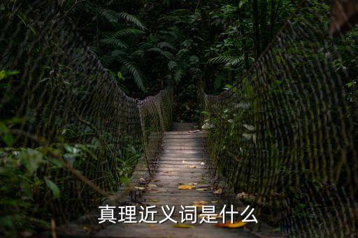 真理近義詞是什么