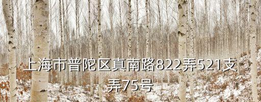 上海市普陀區真南路822弄521支弄75號