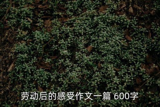 勞動后的感受作文一篇 600字
