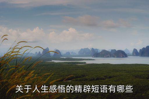 精辟人生感悟句子，24句經(jīng)典人生感悟句子有哪些
