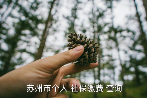 蘇州市社保查詢(xún),如何查詢(xún)繳費(fèi)記錄和個(gè)人資料?