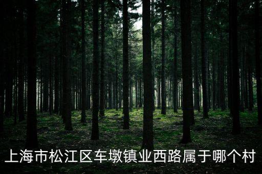 上海市松江區(qū)車墩鎮(zhèn)業(yè)西路屬于哪個村