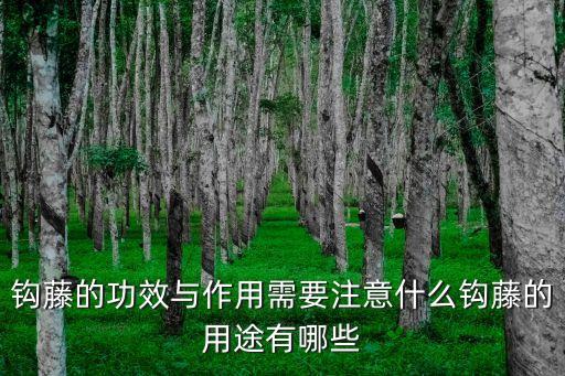 鉤藤的作用與功效,鉤藤與蟬蛻、薄荷同用治小兒夜啼