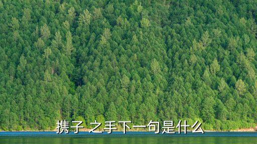 攜子之手,執子之手之手，與子偕老