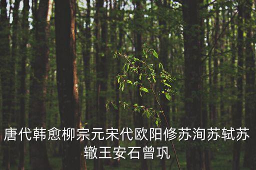 蘇轍代表作，蘇軾之弟蘇轍有什么作品