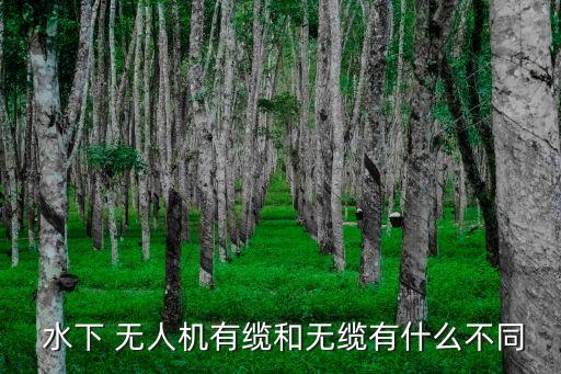 水下無人機(jī),水下無人機(jī)試飛計(jì)劃展開水下飛行試驗(yàn)