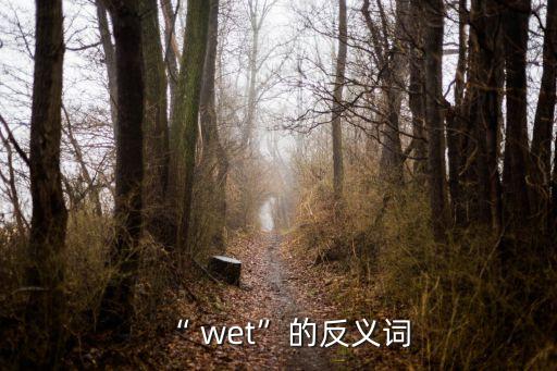 “ wet”的反義詞