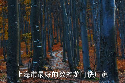 上海市單面銑，上海數控龍門銑床加工中心制造商
