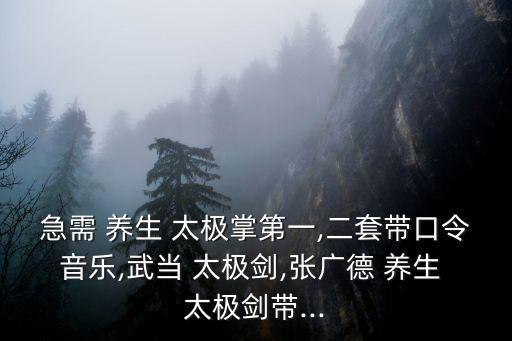 急需 養(yǎng)生 太極掌第一,二套帶口令音樂,武當 太極劍,張廣德 養(yǎng)生 太極劍帶...