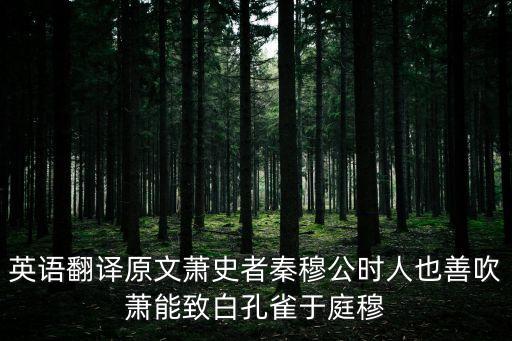 英語翻譯原文蕭史者秦穆公時人也善吹蕭能致白孔雀于庭穆