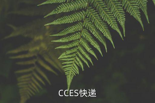 上海市麒麟物流有限公司，上海麒麟物流有限公司在那