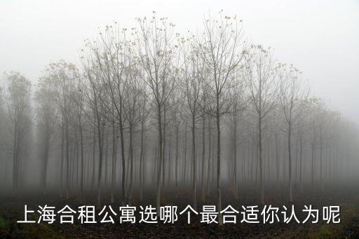 上海市百合公寓，上海單身白領(lǐng)合租公寓怎么租求推薦