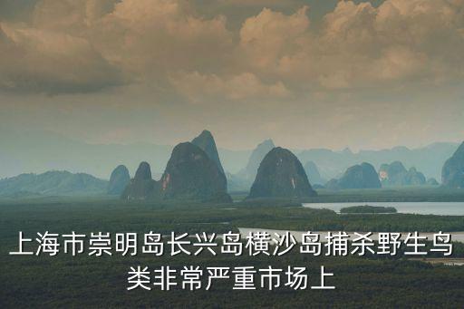 上海市崇明長(zhǎng)興島販毒案，上海市崇明島長(zhǎng)興島橫沙島捕殺野生鳥(niǎo)類(lèi)非常嚴(yán)重市場(chǎng)上