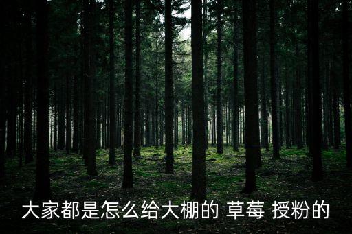 大家都是怎么給大棚的 草莓 授粉的