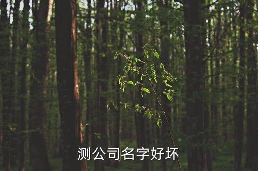 測公司名字好壞