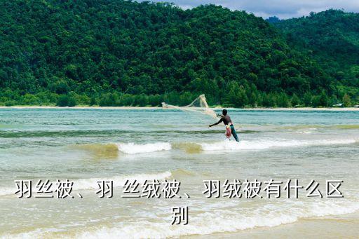 羽絲被、羽 絲絨被、羽絨被有什么區別