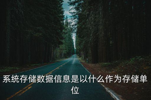 數(shù)據(jù)存儲單位，系統(tǒng)存儲數(shù)據(jù)信息是以什么作為存儲單位