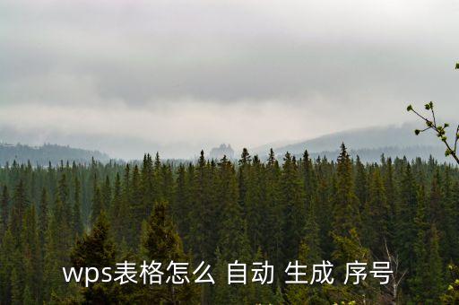 序號(hào)怎么自動(dòng)生成,數(shù)序號(hào)減1等于幾序號(hào)自動(dòng)生成
