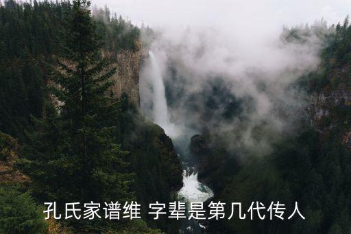 孔氏家譜維 字輩是第幾代傳人