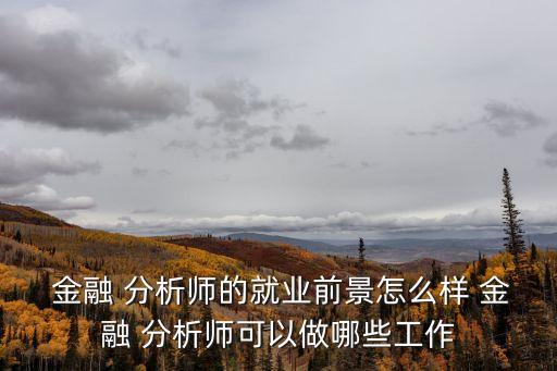  金融 分析師的就業前景怎么樣 金融 分析師可以做哪些工作