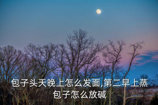  包子頭天晚上怎么發(fā)面,第二早上蒸 包子怎么放堿