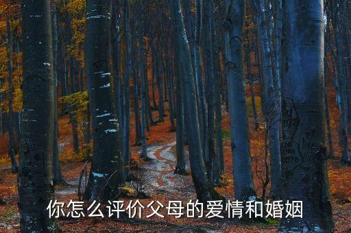 你怎么評價父母的愛情和婚姻