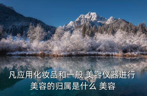 美容器具,專業(yè)護膚品和儀器為人體皮膚進行全面護理保養(yǎng)