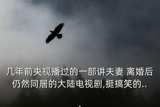 幾年前央視播過的一部講夫妻 離婚后仍然同居的大陸電視劇,挺搞笑的...