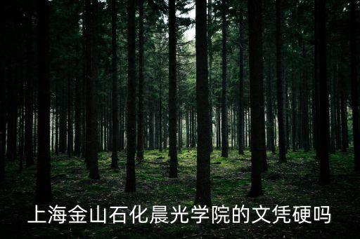上海金山石化晨光學院的文憑硬嗎