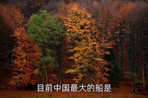 目前中國最大的船是