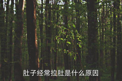 肚子經常拉肚是什么原因