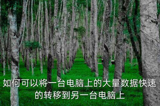 數據轉移，數據移遷是甚么意思