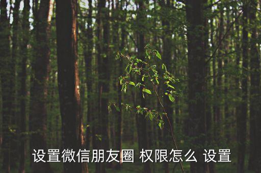  設置微信朋友圈 權限怎么 設置