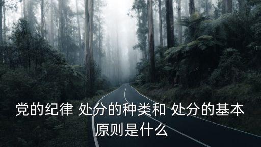 處分原則,行使處分權利的對象包括民事訴訟參與人