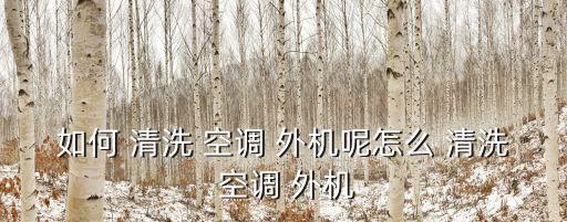 空調(diào)外機怎么清洗,空調(diào)room外機怎么清洗?