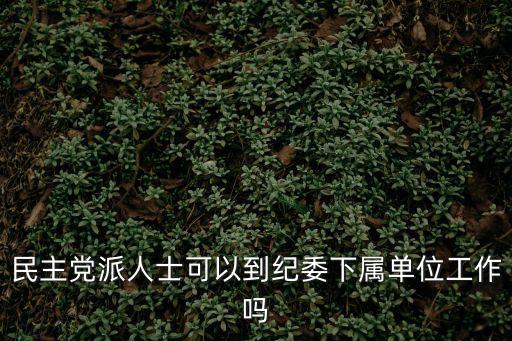 民主人士,無黨派人士和民革黨員之別