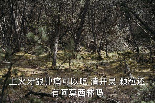 清開靈顆粒,寵物輸入葡萄糖也可直接滴注血清治療