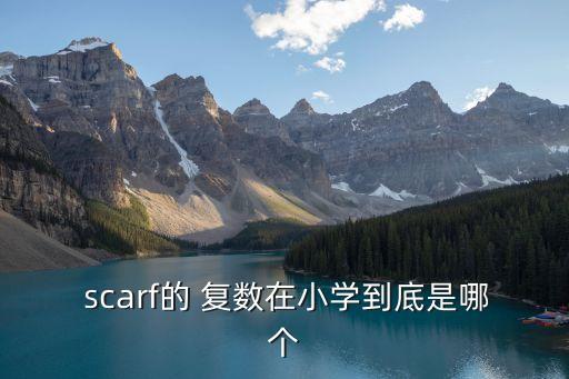 scarf的復數,scarf可數名詞變形成可數形式