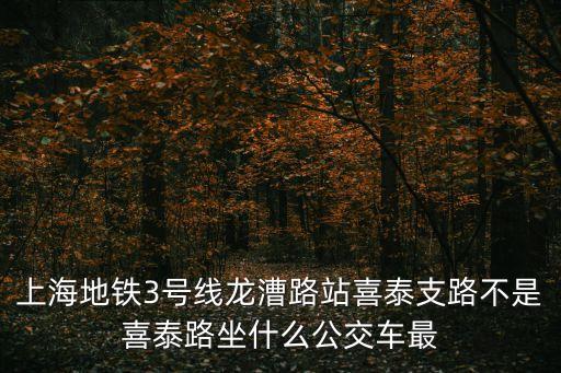 上海地鐵3號線龍漕路站喜泰支路不是喜泰路坐什么公交車最