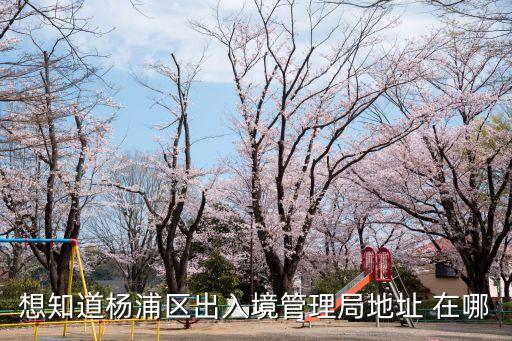 想知道楊浦區出入境管理局地址 在哪