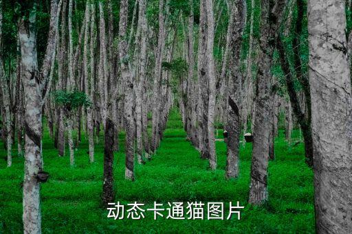 動態卡通貓圖片