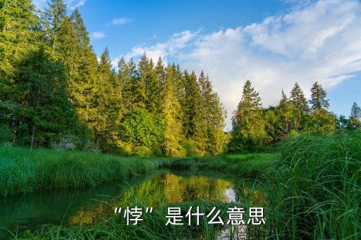 悖逆,駁論與悖論之爭的啟示