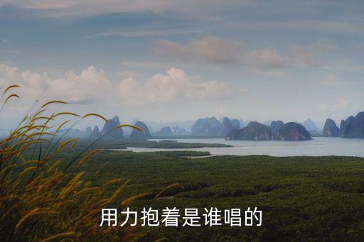 用力抱著是誰唱的